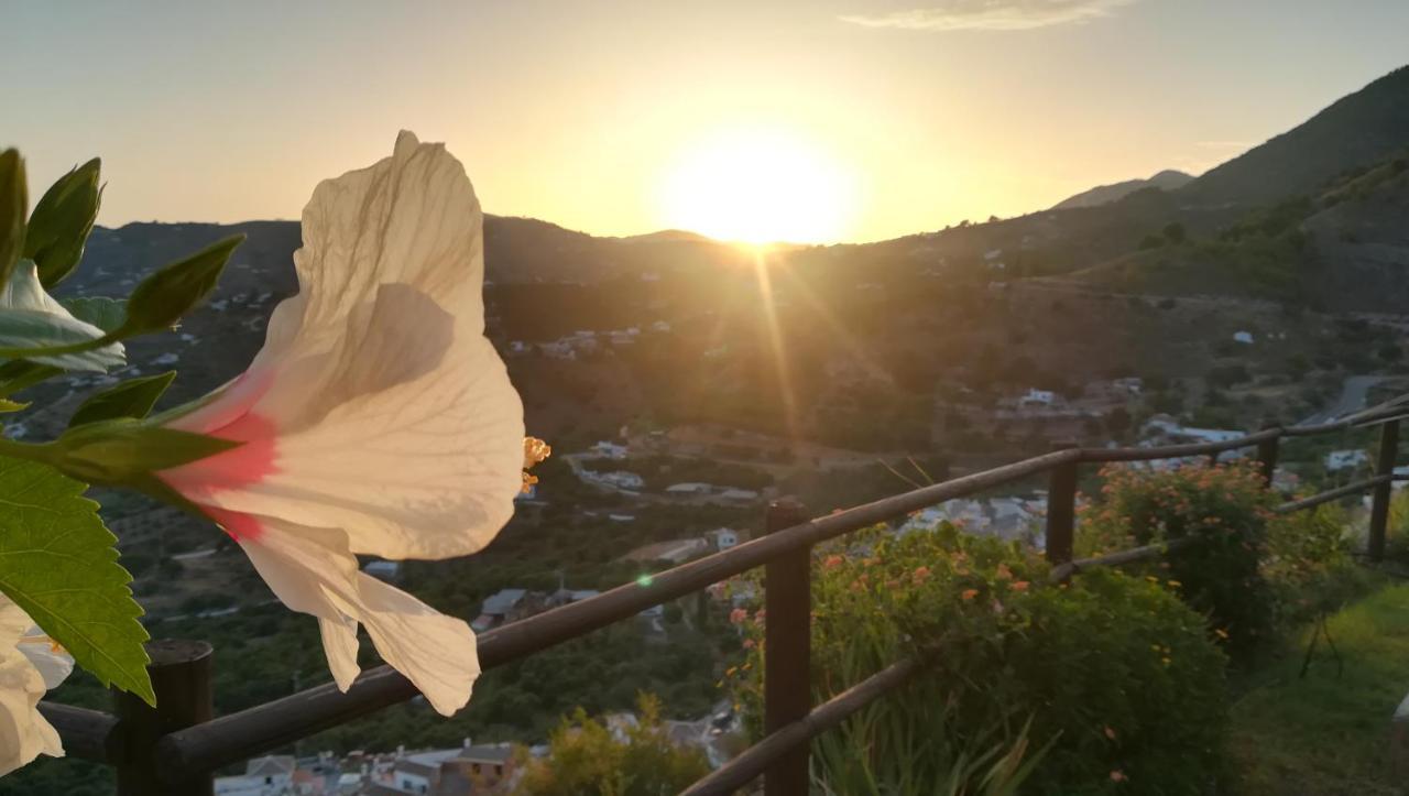 Casa Ana, Fantasticas Vistas A Frigiliana, El Mar Y La Montana Villa Bagian luar foto