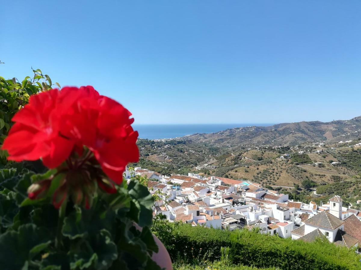 Casa Ana, Fantasticas Vistas A Frigiliana, El Mar Y La Montana Villa Bagian luar foto